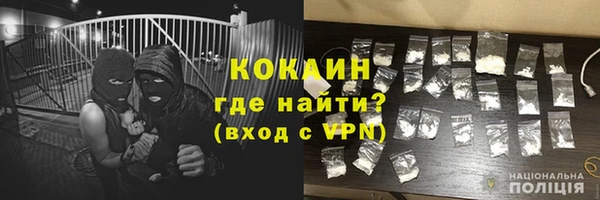 прущие грибы Волоколамск