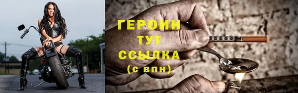 прущие грибы Волоколамск