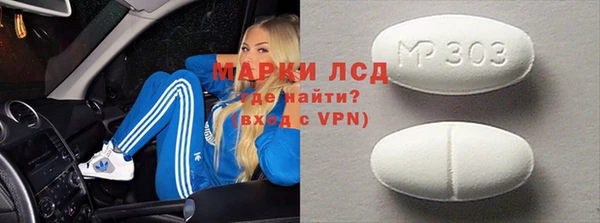 прущие грибы Волоколамск