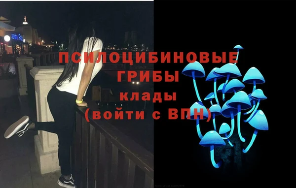 прущие грибы Волоколамск