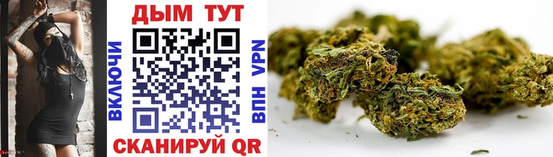 закладка  Южа  Шишки марихуана OG Kush 